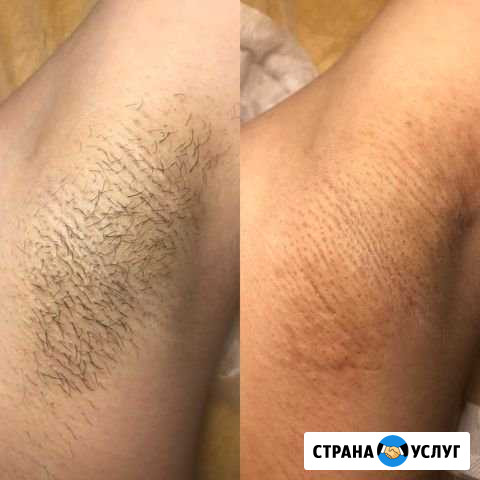 Обучение Ставрополь - изображение 1