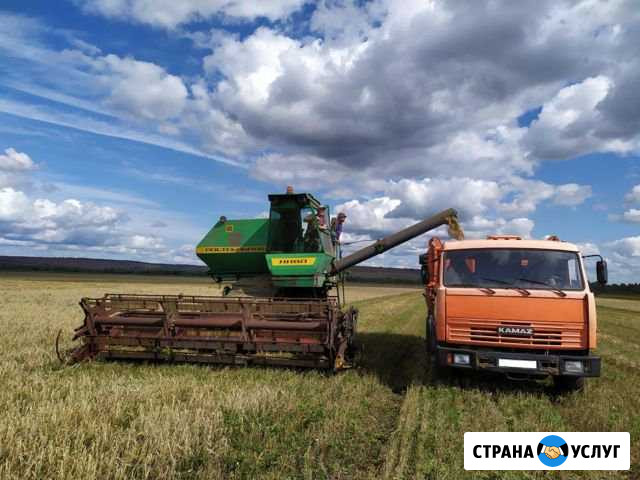 Комбайн. Услуги по уборке зерна Мамадыш - изображение 1