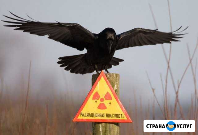 Замер радиации, альфа, бета, гамма излучения Невьянск - изображение 1