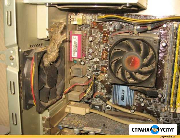 Специалист по ремонту компьютеров И ноутбуков Старый Оскол - изображение 1