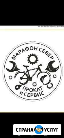 Вело сервис и прокат Мурманск - изображение 1