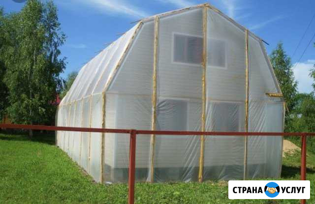 Профессиональная обработка от жука короеда газом Красный Яр - изображение 1