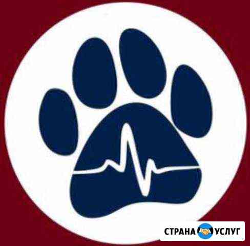 Ветеринарный врач Анапа