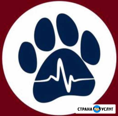 Ветеринарный врач Анапа - изображение 1