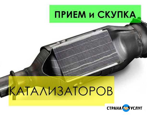 Прием, скупка катализаторов, выезд специалиста Отрадная - изображение 1