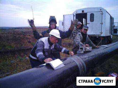 Инспектор ск (тн) ооо Бранд Брянск