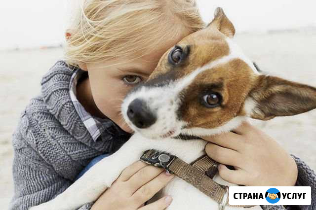 Юный хендлер, юный кинолог, дети и собаки Киров - изображение 1