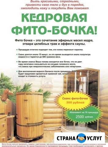 Фито-бочка Новокузнецк - изображение 1