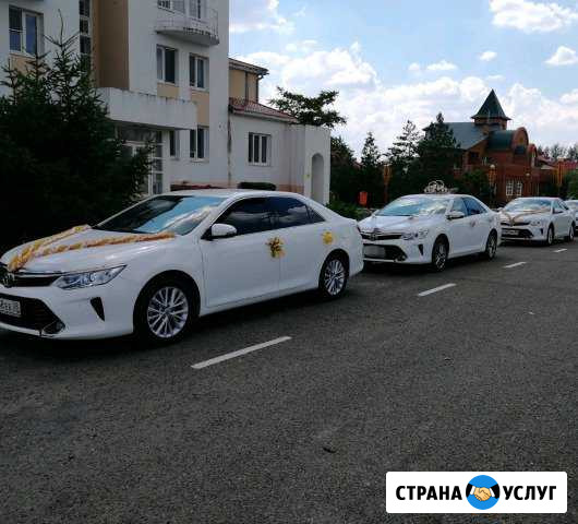 Аренда авто на свадьбу, машина на свадьбу, свадьба Элиста - изображение 1