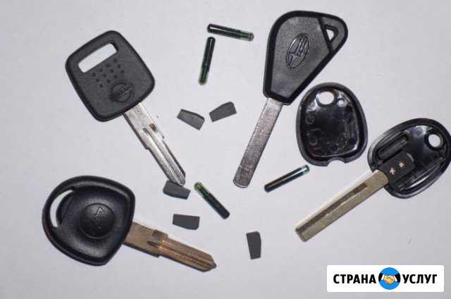 Чипы в автозапуск Омск - изображение 1