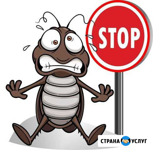 За 15 минут удалим все неприятные запахи дом/авто Тюмень - изображение 1