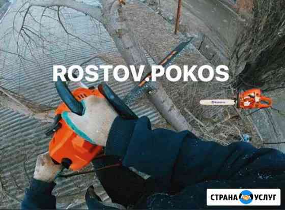 Покос травы Спил деревьев Стрижка Кустов и Газона Ростов-на-Дону