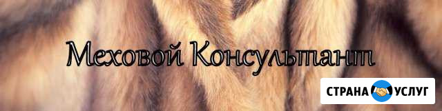 Организация шуб-туров Киров - изображение 1