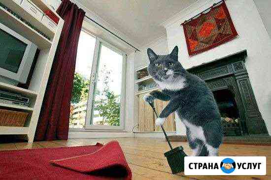 Клининг услуги Воронеж