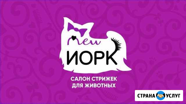 Стрижки животных. Салон New Йорк Сургут - изображение 1