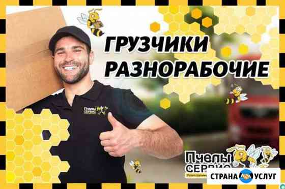 Грузчики, разнорабочие. Есть газель Вологда