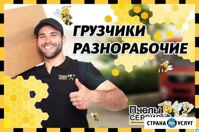 Грузчики, разнорабочие. Есть газель Вологда - изображение 1