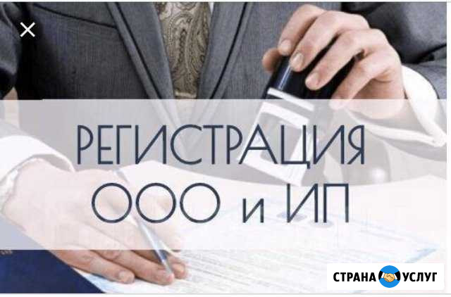 Регистрация и ликвидация ип и ооо Ростов-на-Дону - изображение 1