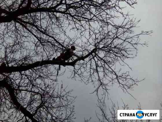 Спилю деревья любой сложности(аккуратно) Тихорецк