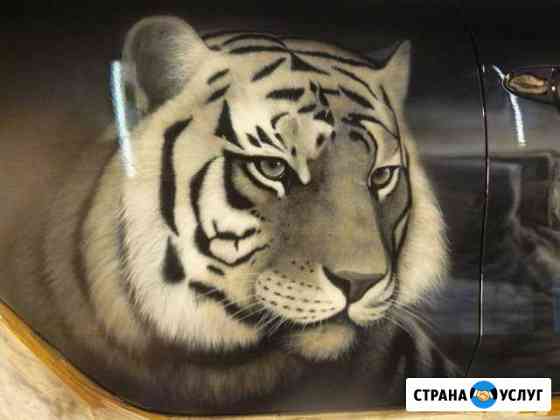 Роспись авто Железногорск