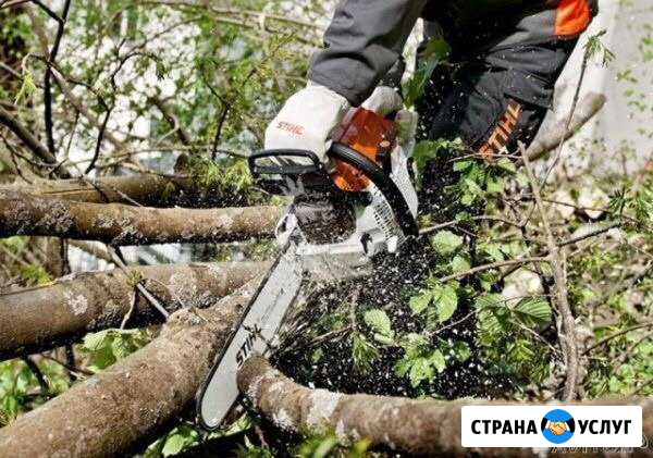 Спил деревьев Москва - изображение 1