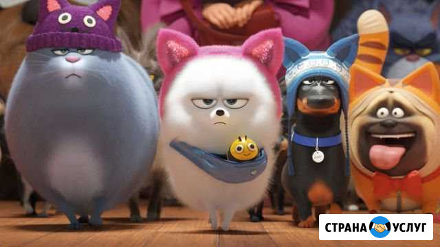 Передержка животных Севастополь - изображение 1