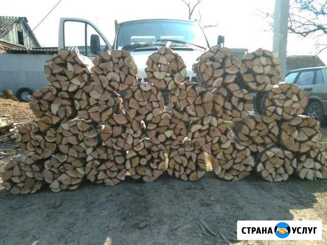 Вязанки дров для шашлыка,дрова Пешково - изображение 1