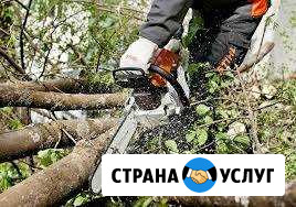 Услуги Бензопилы Спил деревьев Покос травы Острогожск - изображение 1