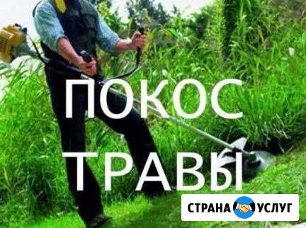 Покос травы Петушки - изображение 1