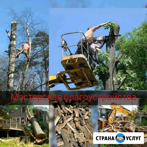 Спил деревьев/уборка участков/слом домов/вывоз Ростов-на-Дону - изображение 1