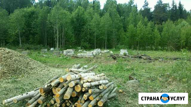 Вырубка,опиливание деревьев очистка территории Тамбов - изображение 1