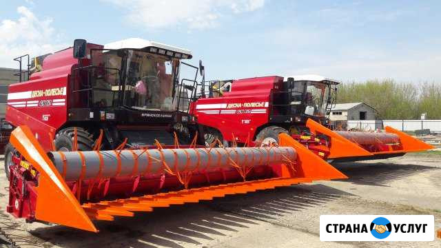 Услуги по уборке подсолнечника Богословка - изображение 1