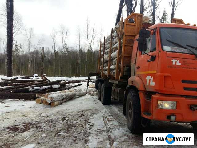 Лесовоз с прицепом, манипулятор, фишка, коники, со Вологда - изображение 1