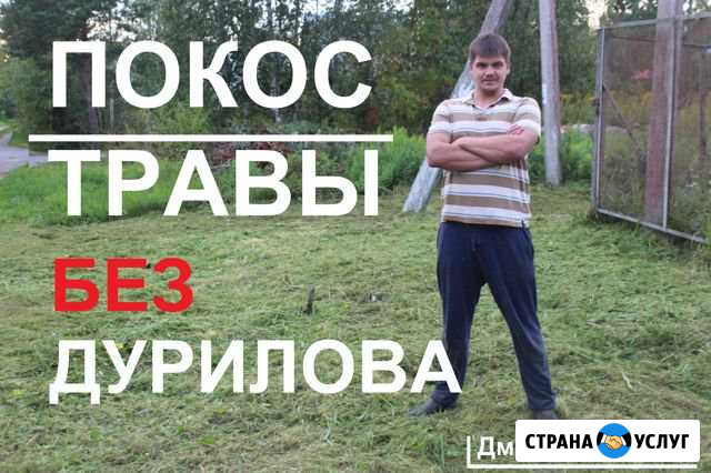 Покос травы,кустарника.Получите бесплатную консуль Санкт-Петербург - изображение 1