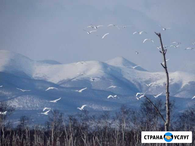 Любая Уборка Екатеринбург - изображение 1