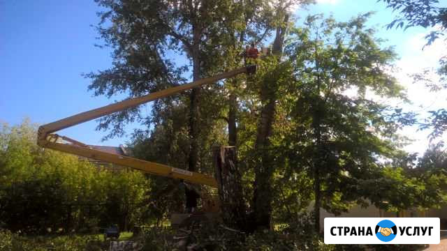 Спил деревьев любой сложности Бор - изображение 1