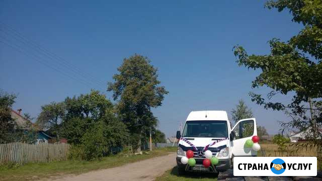 Пассажирские перевозки Людиново - изображение 1