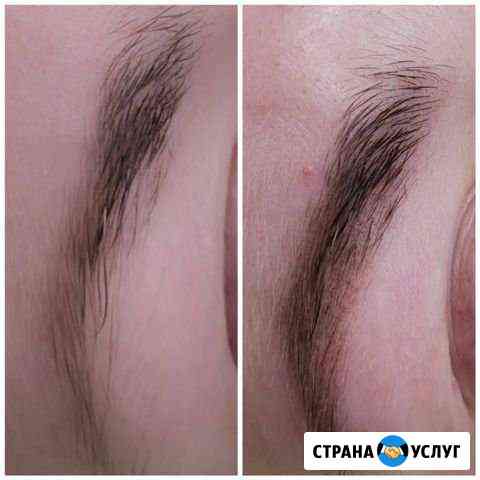 Модель на пудровые брови Красногорск