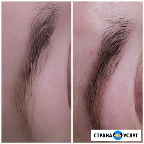 Модель на пудровые брови Красногорск - изображение 1