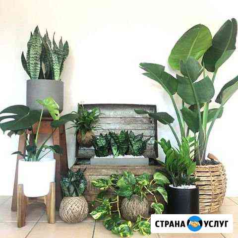 Цветочный хостел Заинск