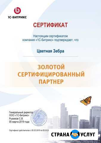Битрикс24: настройка, обучение использованию Воронеж - изображение 1