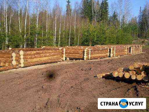 Строительство бань саун Березники