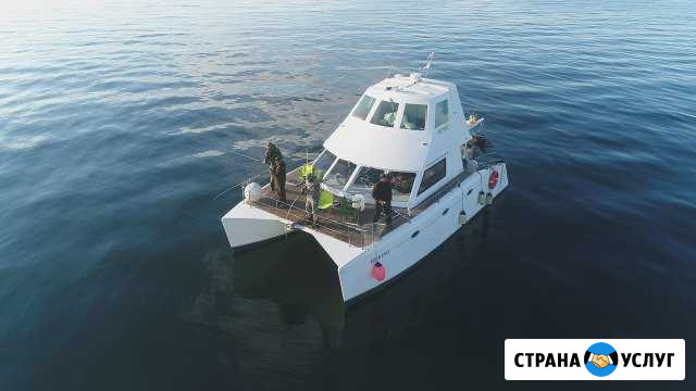 Морская речная озерная рыбалка Камчатка Петропавловск-Камчатский - изображение 1