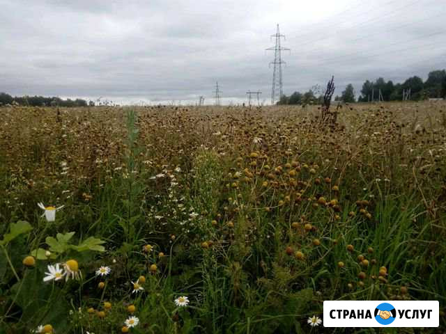 Покос травы,бурьяна,газона Солнечногорск - изображение 1