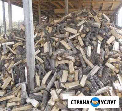 Дрова Орск - изображение 1