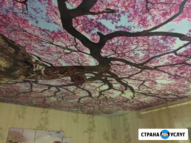 Натяжные потолки Велиж - изображение 1