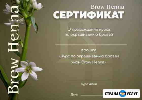 Окрашивание бровей и колористика BH Brow Henna Севастополь