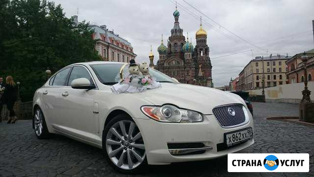 Аренда белого Jaguar (Ягуар) XF Portfolio Санкт-Петербург - изображение 1