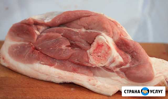 Свинина домашняя Брянск - изображение 1