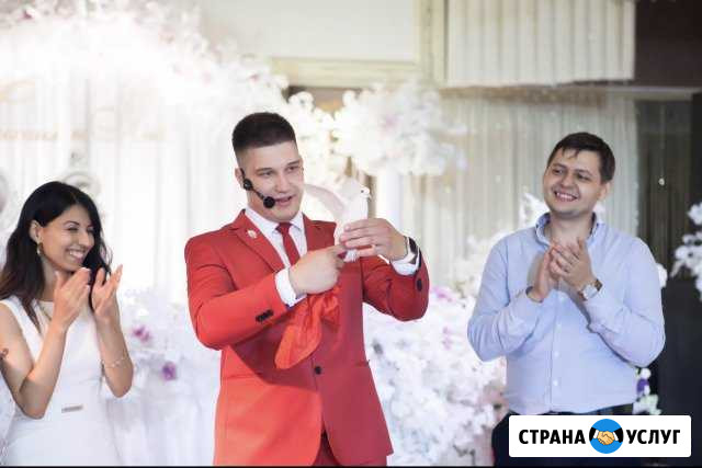 Фокусник Иллюзионист Новошахтинск - изображение 1